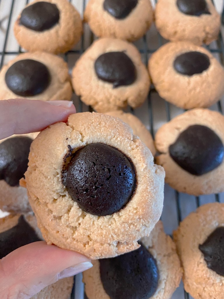 Ani’s 5-Ingredient Almond Flour and Chocolate Cookies, [Paleo, Vegan]
